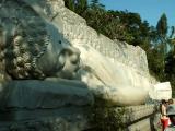 Lying budha 16m Lying budha 16m