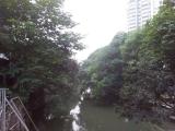 东西河·2011·停云 东西河·2011·停云