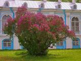 Весенний Санкт-Петербург. St. Petersburg in the spring. Весенний Санкт-Петербург. St. Petersburg in the spring.