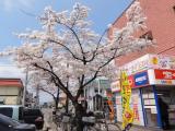 サンロード青森・イオン青森店南口 サンロード青森・イオン青森店南口