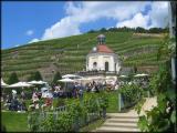 RebstockTerassen - WeinSchloss Wackerbarth in DixieStimmung - Radebeul - 120611 RebstockTerassen - WeinSchloss Wackerbarth in DixieStimmung - Radebeul - 120611