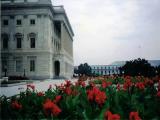 Washington D.C. - Jardines Capitolio