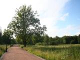 2007_07_08 20-05-34 Нижняя дорога 2007_07_08 20-05-34 Нижняя дорога