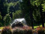 Piacenza in poche mosse: il parco Piacenza in poche mosse: il parco