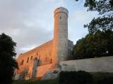 Tallinn/Reval - Long Herman and Old Castle Tallinn/Reval - Long Herman and Old Castle