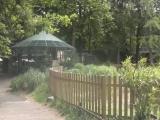 giardino Villa Mylius (particolare) giardino Villa Mylius (particolare)