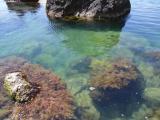 мыс айя мыс айя