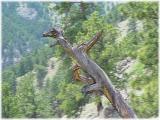 The Eagle Tree The Eagle Tree