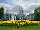 Храмы и тюльпаны Санкт-Петербурга. Смольный собор.Temples and tulips of St. Petersburg Храмы и тюльпаны Санкт-Петербурга. Смольный собор.Temples and tulips of St. Petersburg