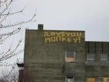 iloveyoumonkey! iloveyoumonkey!