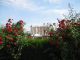 Золотые пески. Отель Адмирал ***** Золотые пески. Отель Адмирал *****