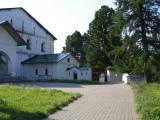 кедр