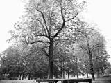 Parco della Resistenza