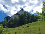 Ein paar Schafe grasen friedlich den Hang unterhalb von Schloß WERDENBERG Ein paar Schafe grasen friedlich den Hang unterhalb von Schloß WERDENBERG