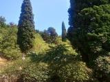 Polikurovsky hill. The cemetery Polikurovsky hill. The cemetery
