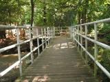 puente puente