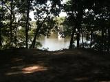 truxton park truxton park
