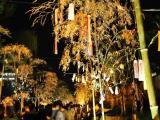 Kyoto Tanabata 2011 Kyoto Tanabata 2011
