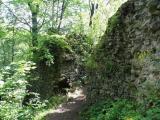 Green trail through ruins of Cisy Green trail through ruins of Cisy