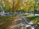 054.Rambla Celler