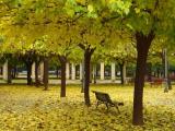 Otoño II