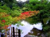 Quioto - Jardins do Templo Kinkakuji Quioto - Jardins do Templo Kinkakuji