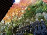 三瀧寺 三瀧寺