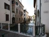 Treviso 8 Treviso 8
