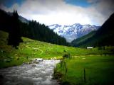 valley walk on the way to Durboden valley walk on the way to Durboden