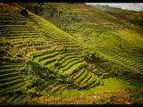 Sapa, Vietnam http://www.tienenojos.com Sapa, Vietnam http://www.tienenojos.com
