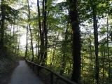 Wanderweg zur Burg Wanderweg zur Burg