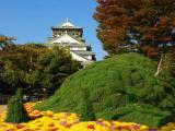 Osaka Castle Autumn