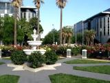International World Peace Rose Garden, Sacramento