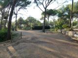 Camins d'accés 2
