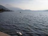 Zugersee bei Zug Zugersee bei Zug