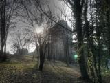 ein ganz anderer Blick ein ganz anderer Blick