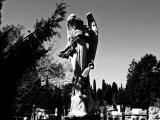 Fallen Angel Fallen Angel