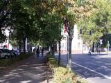 Bleichstraße im Spätsommer 01-Oct-11 26°C Bleichstraße im Spätsommer 01-Oct-11 26°C