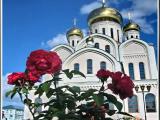 Red Roses + Temple / Розы + храм Red Roses + Temple / Розы + храм