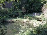 Teich bei Stift Neuburg