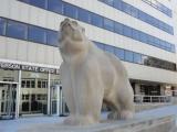 stone bear in front of Jefferson State Office building, Jefferson City, MO