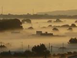 NIEBLA NIEBLA