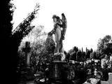 Angel, Flowers...and Cross Angel, Flowers...and Cross