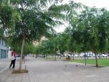 CASTELLÓN 2011.- Plaza de la Sierra de Gredos