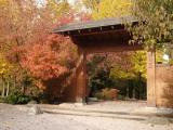 Japanese Garden in Wroclaw in the autumn climate