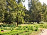 The Donetsk Botanical Garden of the National Academy. The Donetsk Botanical Garden of the National Academy.