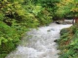 Switzerland | Montreux | Mountain River