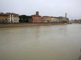Pisa Pisa