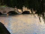 Treviso Treviso