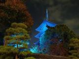 世界糖尿病デー ブルーライトアップ・東寺 世界糖尿病デー ブルーライトアップ・東寺